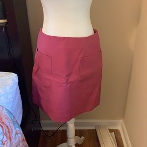 NWT Loft Pencil Skirt
